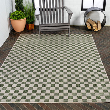 Aimee Traditional Cottage Checkerboard Indoor/Outdoor Area Rug